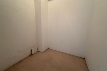 Evergreen Park Cypress