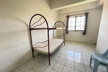 Evergreen Park Cypress