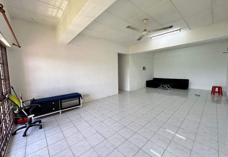 Evergreen Park Cypress