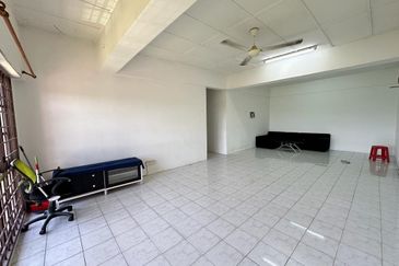 Evergreen Park Cypress