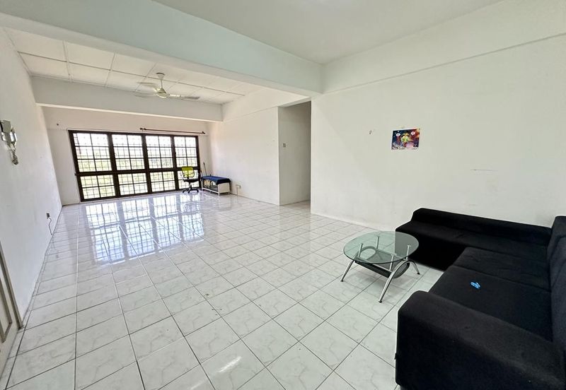 Evergreen Park Cypress