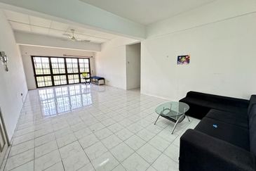 Evergreen Park Cypress