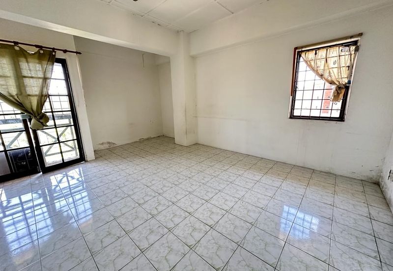 Evergreen Park Cypress