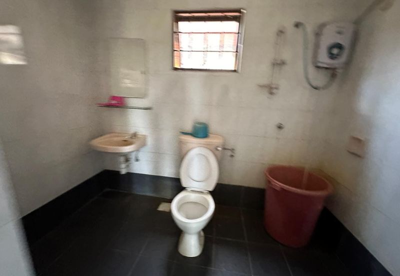 Evergreen Park Cypress