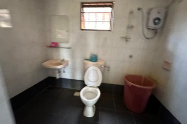 Evergreen Park Cypress