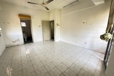 Evergreen Park Cypress