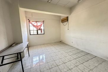 Evergreen Park Cypress