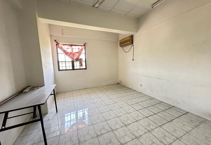 Evergreen Park Cypress