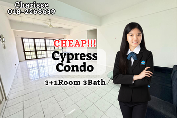 Evergreen Park Cypress