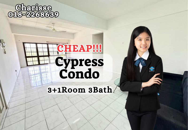 Evergreen Park Cypress