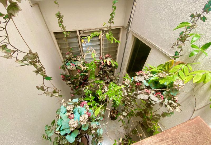 Taman Desa, Kuala Lumpur Terrace House