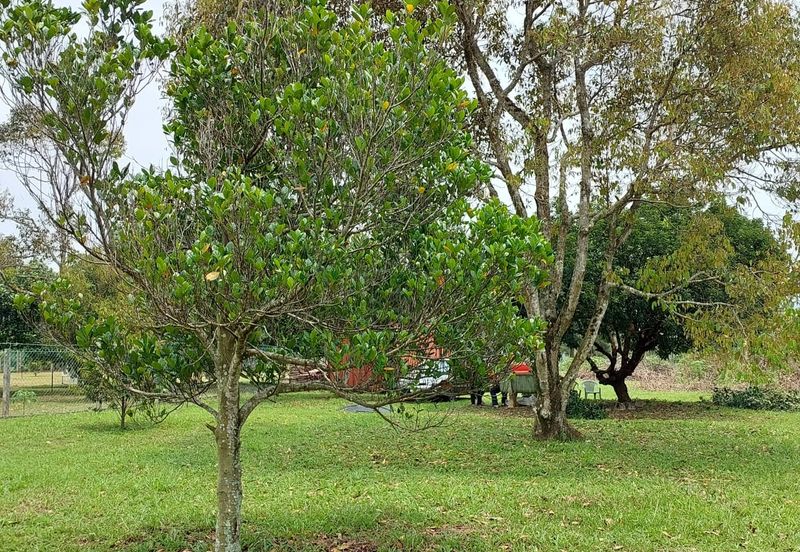 Agriculture Land @ Lenggeng, Negeri Sembilan