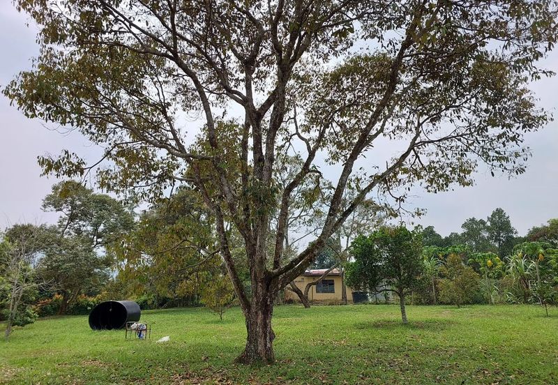 Agriculture Land @ Lenggeng, Negeri Sembilan