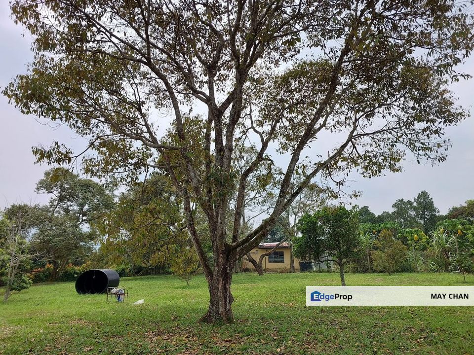 Agriculture Land @ Lenggeng, Negeri Sembilan, Negeri Sembilan, Lenggeng