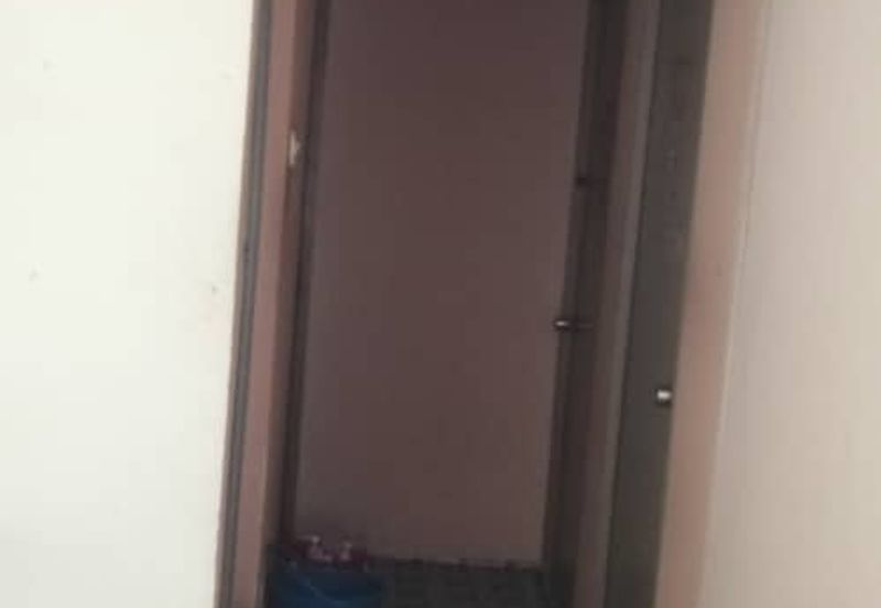 Sri Meranti, Bandar Sri Damansara