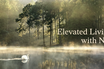 ForestHill Residences