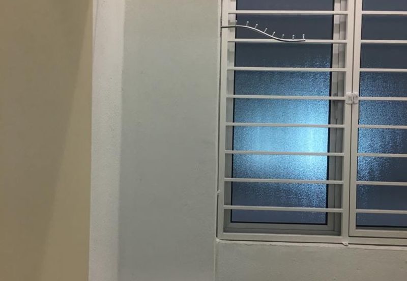 Galleria Equine Park