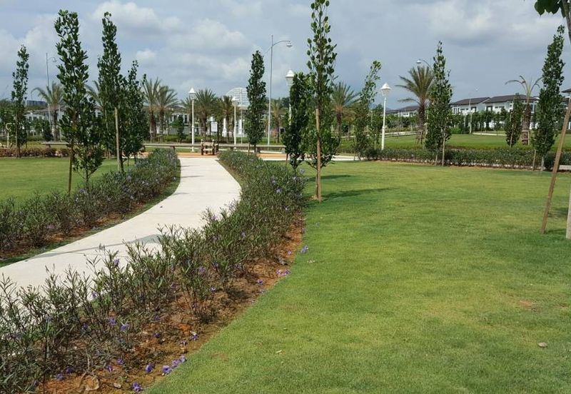 Tenderfields @ Eco Majestic