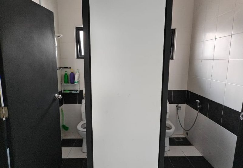 Brighton @ Eco Majestic