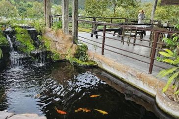 Kampung Sungai Makau