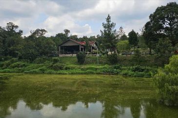 Kampung Sungai Makau