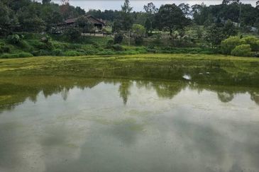 Kampung Sungai Makau