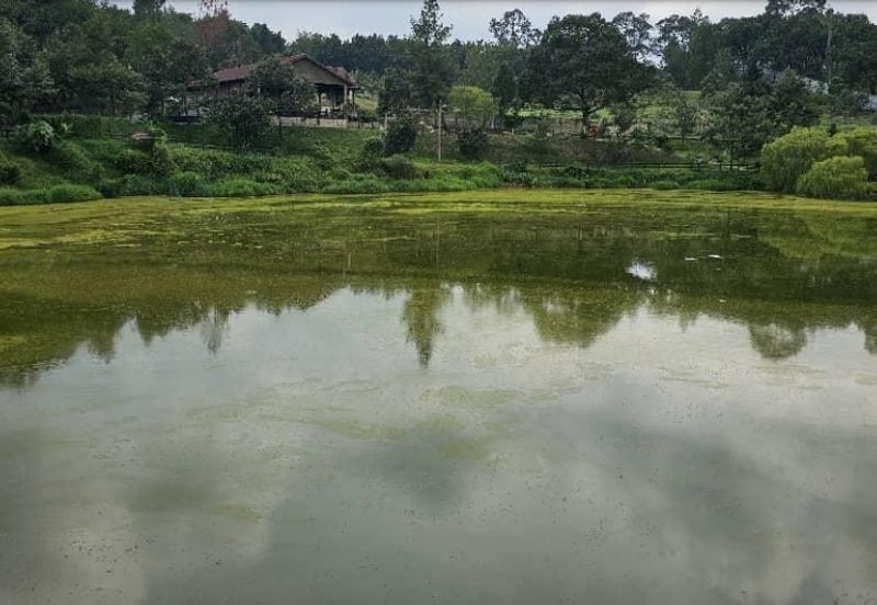 Kampung Sungai Makau