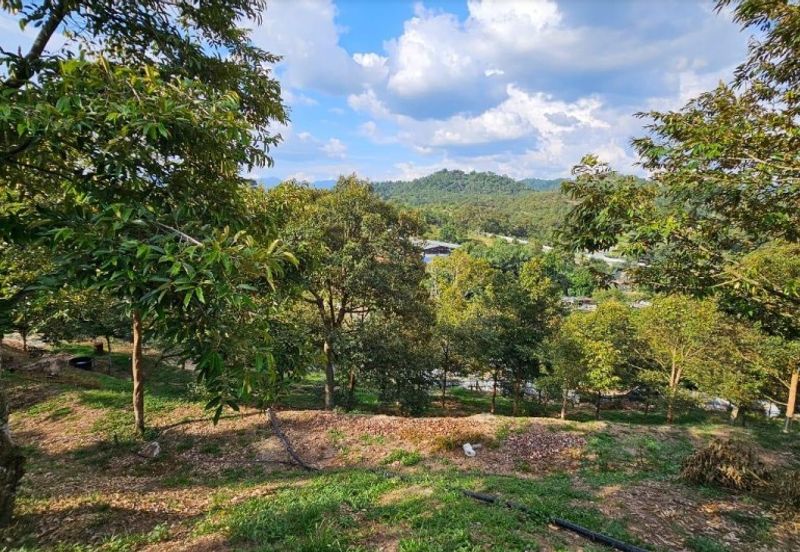 Kampung Sungai Makau