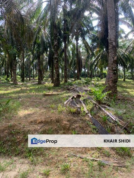 Tanah Komersial di Telok Sareh, Kg Gajah , Perak, Kampong Gajah