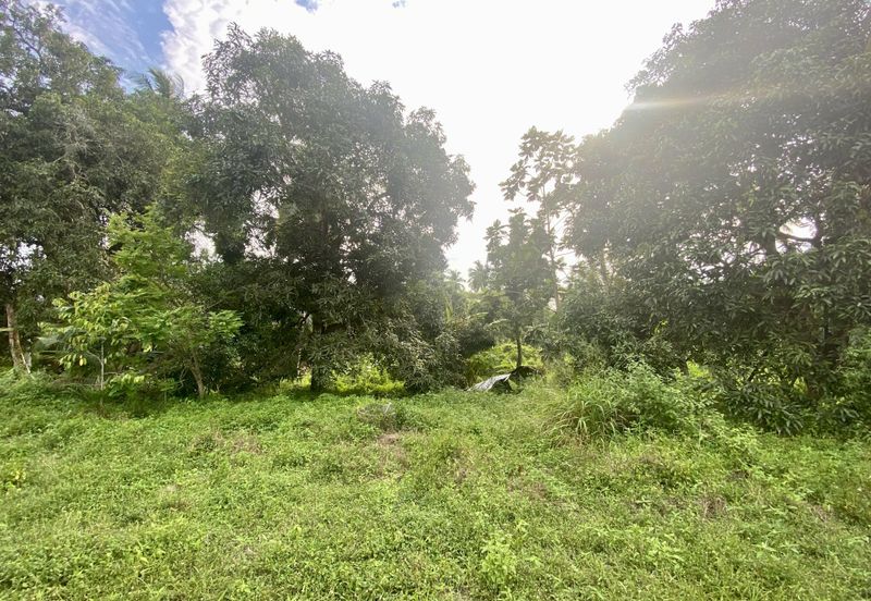 RPT PASIR PANJANG LAUT