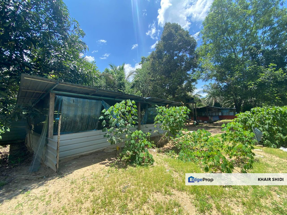 TANAH DUSUN DI ULU CHEMOR PERAK UNTUK DIJUAL, Perak, Kinta