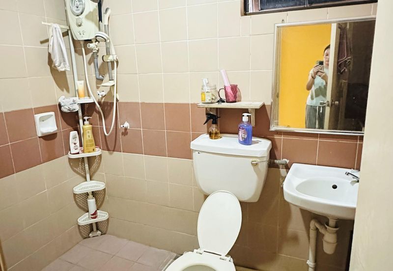 Evergreen Park Cypress