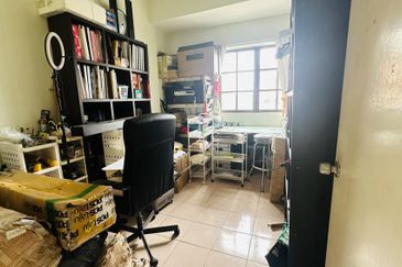 Evergreen Park Cypress