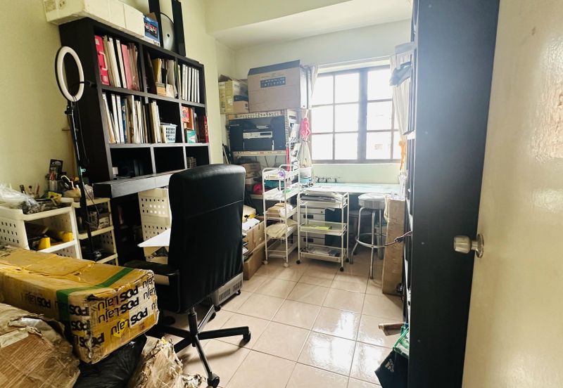 Evergreen Park Cypress