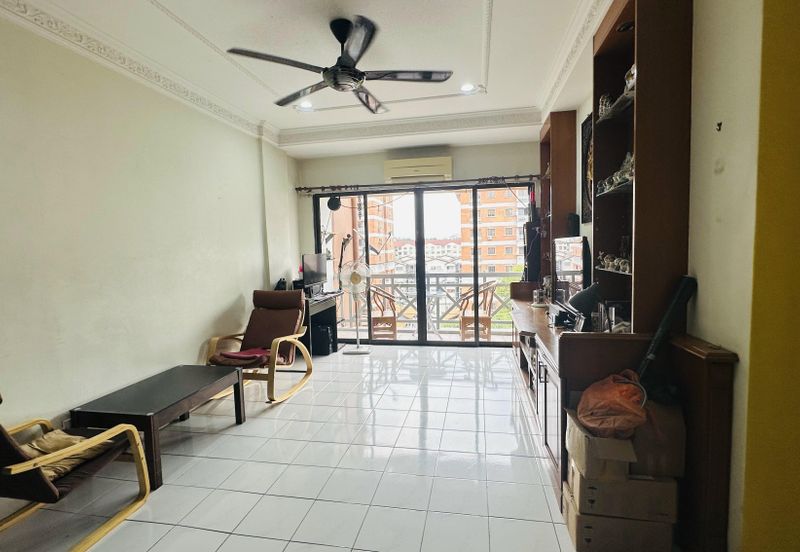 Evergreen Park Cypress