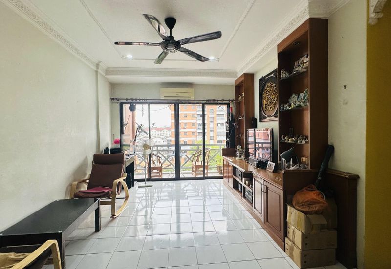 Evergreen Park Cypress