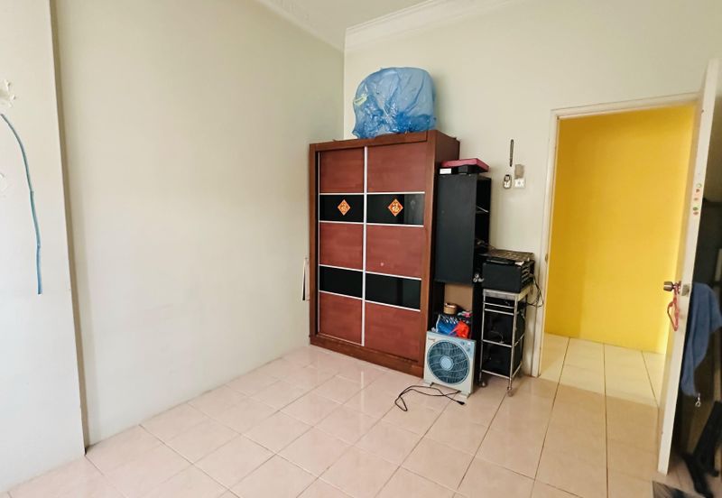 Evergreen Park Cypress