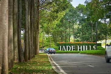 Jade Hills