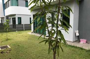 Lepironia Gardens, Setia Eco Glades