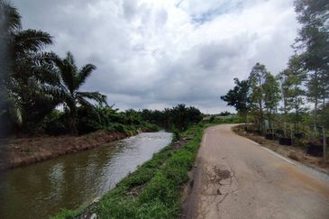 MUAR BAKRI Tanah Pertanian