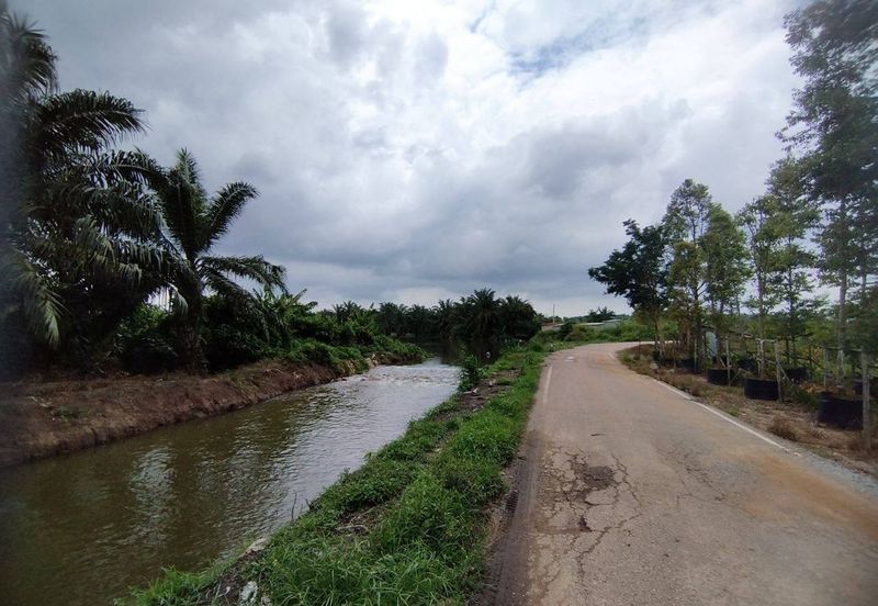 MUAR BAKRI Tanah Pertanian