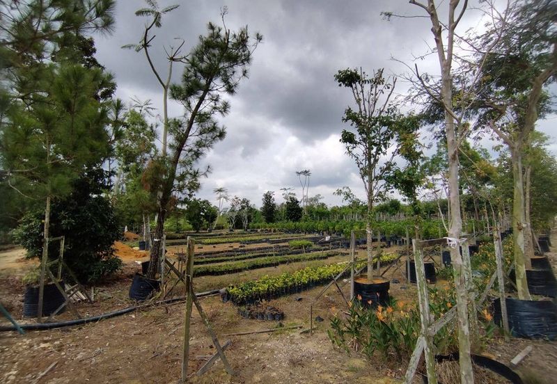 MUAR BAKRI Tanah Pertanian