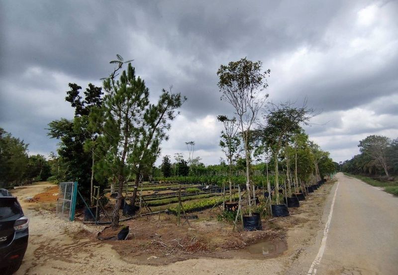 MUAR BAKRI Tanah Pertanian