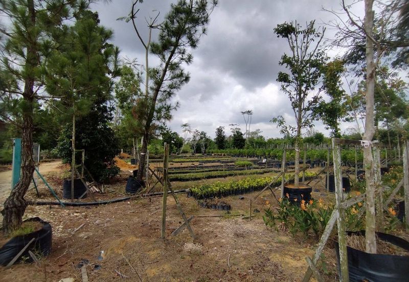 MUAR BAKRI Tanah Pertanian