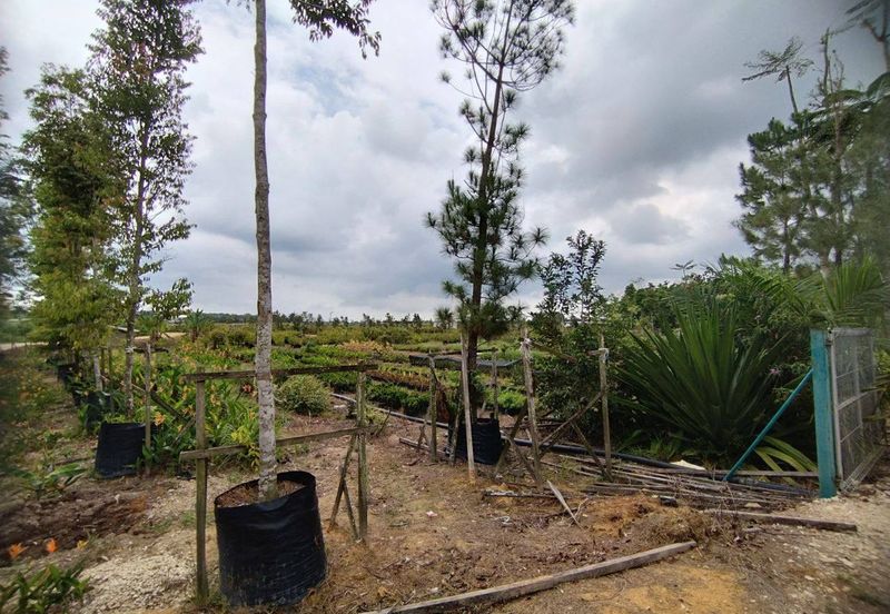 MUAR BAKRI Tanah Pertanian