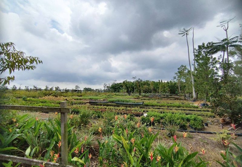 MUAR BAKRI Tanah Pertanian