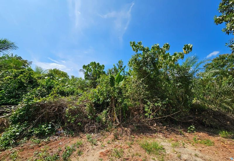 SEGAMAT JEMENTAH Kg Tebing Tinggi Tanah Pertanian