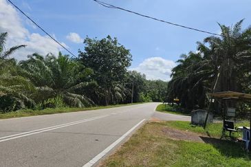 SEGAMAT JEMENTAH Kg Tebing Tinggi Tanah Pertanian