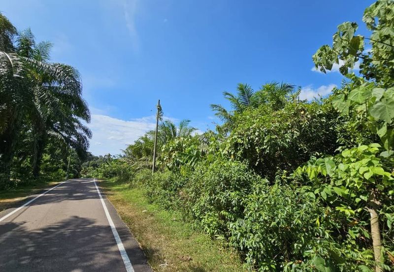 SEGAMAT JEMENTAH Kg Tebing Tinggi Tanah Pertanian