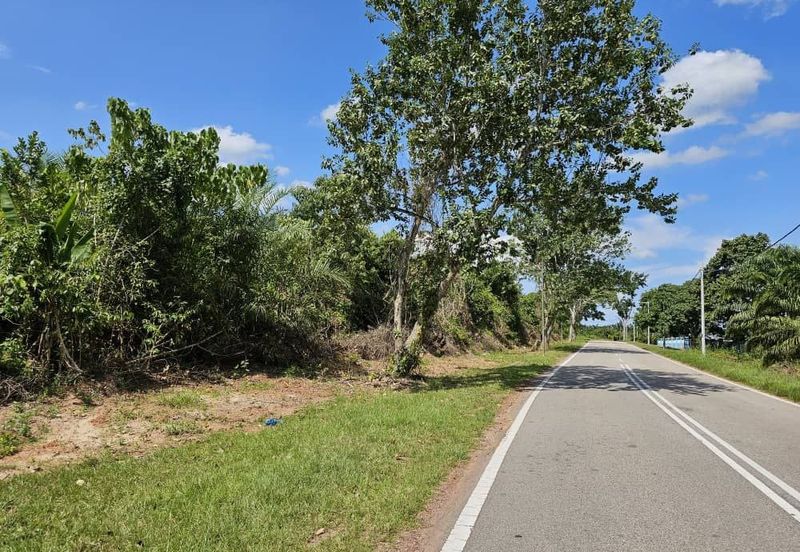 SEGAMAT JEMENTAH Kg Tebing Tinggi Tanah Pertanian